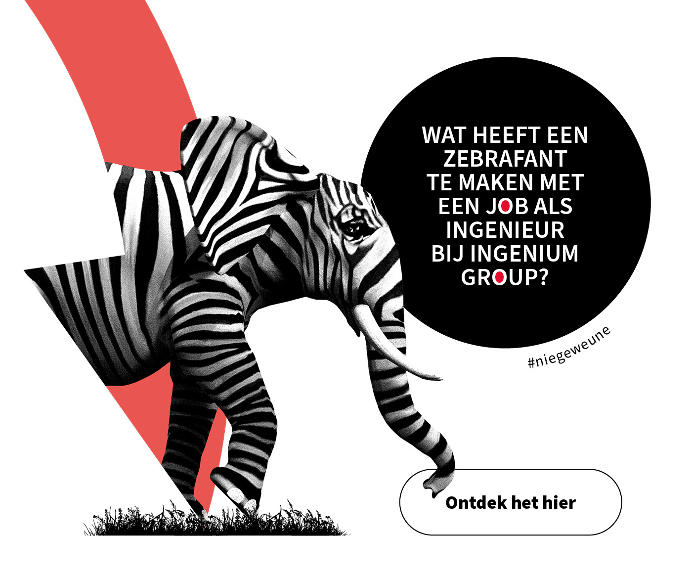 ING 220055 BEELD WEB V2 150DPI High Q